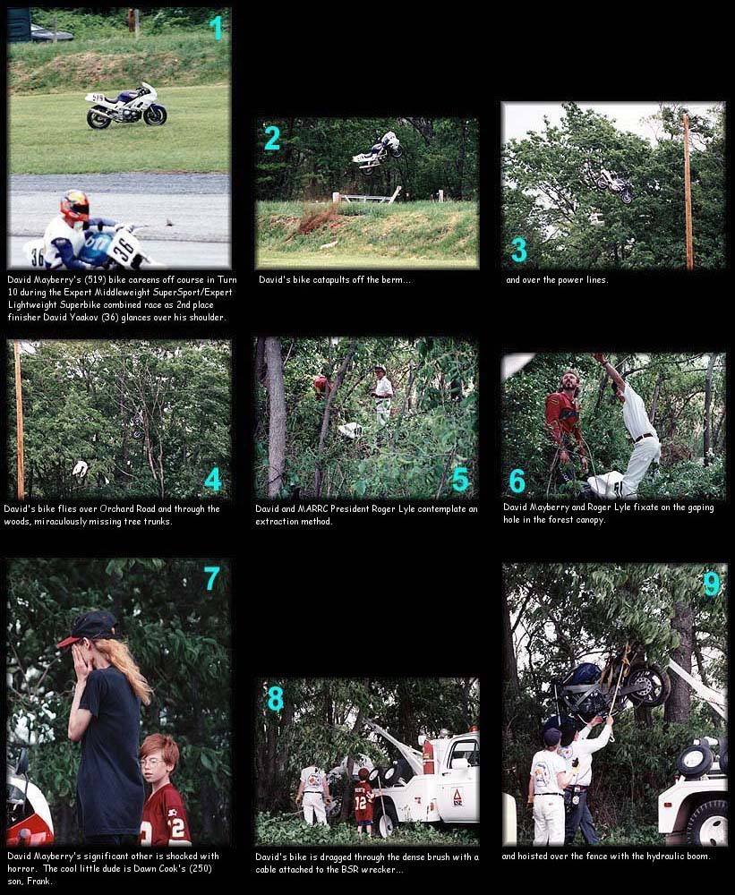 Click on an image for a full-sized view...